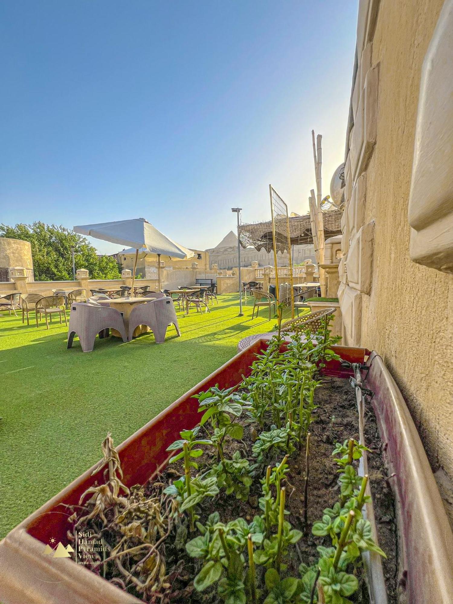 Hotel Sidi Hamad Pyramids View 3*